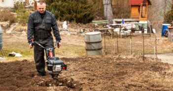 Gartengeräte: Mit diesen Helfern wird die Gartenarbeit zum Kinderspiel ( Foto: Shutterstock - Marsan )