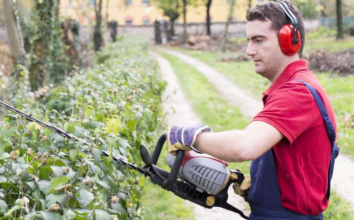 Ohne eine Heckenschere kommt kein Gartenbesitzer aus. ( Foto: Shutterstock- tommaso79 )