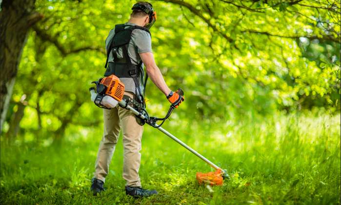 Hohes Gras oder auch unebenes Gelände ist für die Motorsense ein Kinderspiel ( Foto: Shutterstock - nelic )