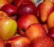 Ernteeinbruch durch Absatzprobleme (Foto: AdobeStock - URS.INHO 532278818)