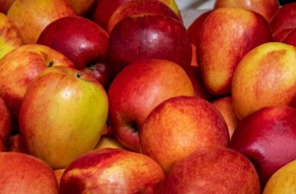 Ernteeinbruch durch Absatzprobleme (Foto: AdobeStock - URS.INHO 532278818)