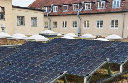 Breite Wartungswege ermöglichen Inspektion begrünter Dächer ohne zusätzliche Hilfsmittel Werkzeuglose TRITON flora Lösung fixiert PV-Module sicher ohne (Foto: T.Werk GmbH)