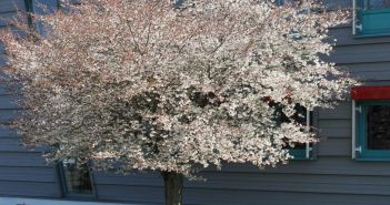 Weltgarten feiert 25 Jahre Verbindung von Natur, Architektur, (Foto: WITTENSTEIN SE/Susanne Böll)