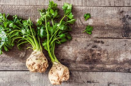 Knollensellerie: Regionales Herbstgemüse mit vielseitigem Aroma und wertvollen (Foto: AdobeStock - sebra - 196527001)